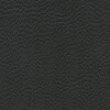 skai Parotega NF763 cinder