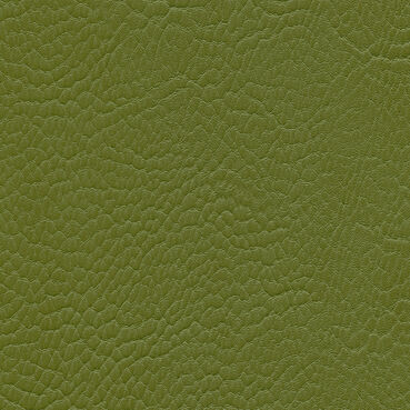 skai Parotega NF705 olive green