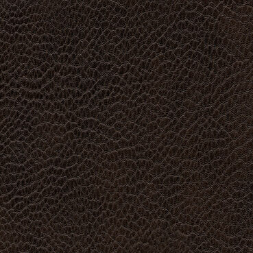 skai Parotega NF656 chocolate