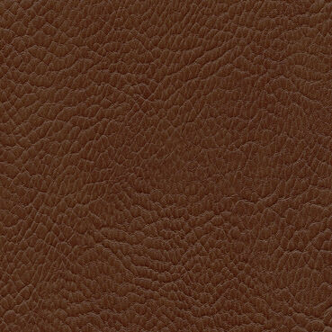 skai Parotega NF655 chestnut