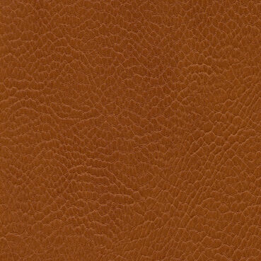 skai Parotega NF654 sherry