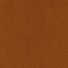 skai Parotega NF654 sherry