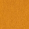 skai Parotega NF666 mango