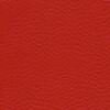 skai Parotega NF707 fire