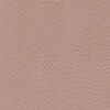 skai Parotega NF764 light rose