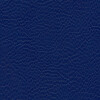 skai Parotega NF710 royal