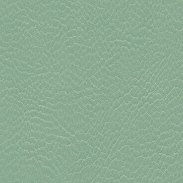 skai Parotega NF767 mint