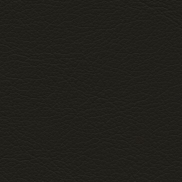 Fine Leather LE01