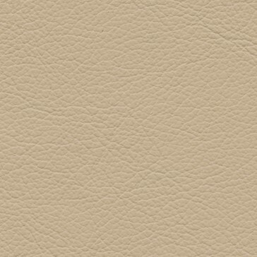 Fine Leather LE06