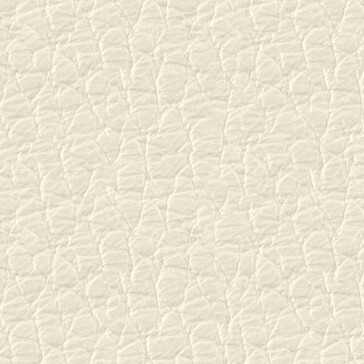 Fine Leather SD06