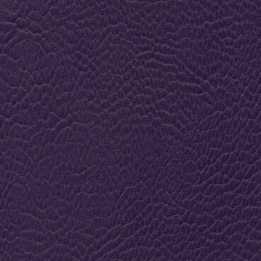 skai Parotega NF736 purple