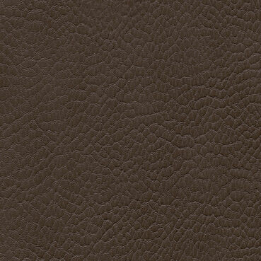 skai Parotega NF704 olive brown