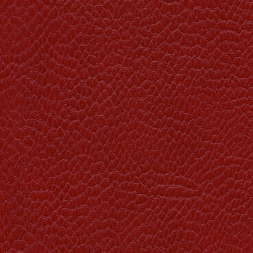 skai Parotega NF665 cherry