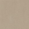 skai Parotega NF661 birke