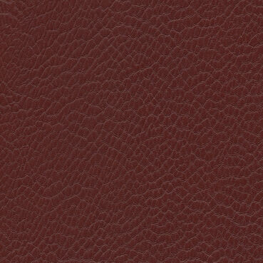 skai Parotega NF765 marsala
