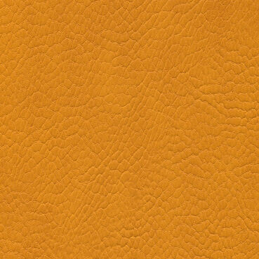 skai Parotega NF666 mango