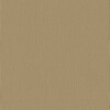 Silvertex SX1078 Champagne