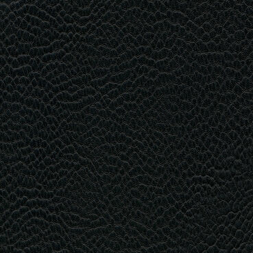 skai Parotega NF659 black