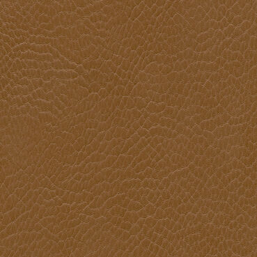 skai Parotega NF737 cashmere