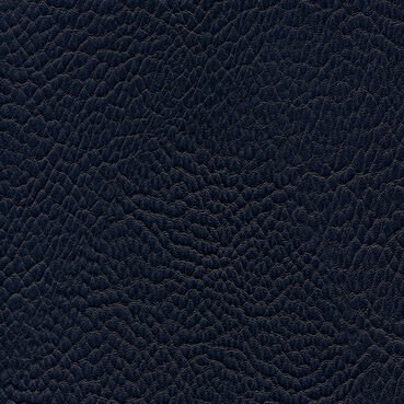 skai Parotega NF729 nightblue