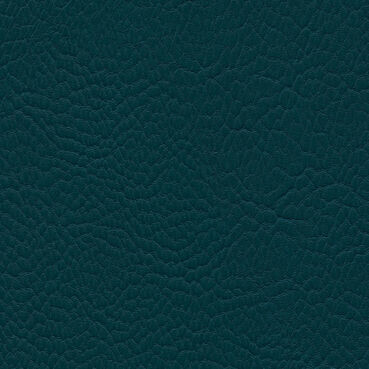 skai Parotega NF766 teal