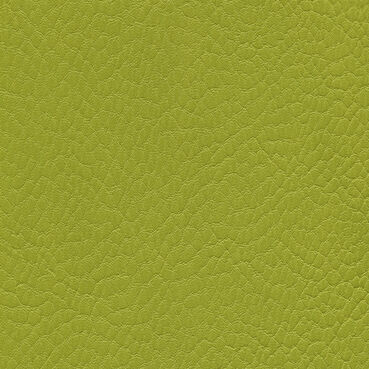 skai Parotega NF657 lemon