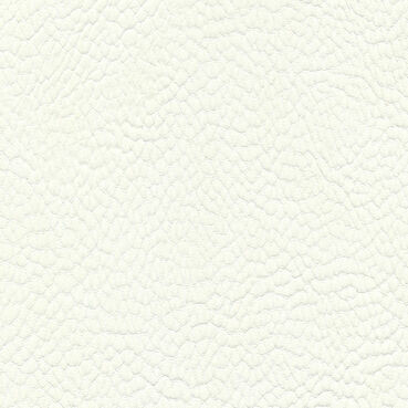 skai Parotega NF652 white