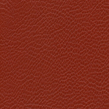 skai Parotega NF702 salmon
