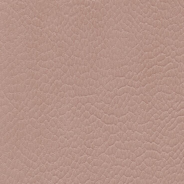 skai Parotega NF764 light rose