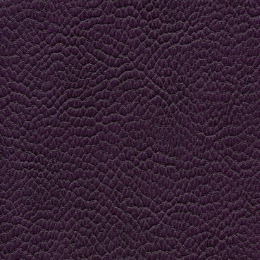 skai Parotega NF664 amethyst