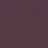 Pure new wool Synergy LDS70 Together