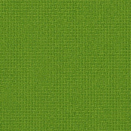 Virgin wool Fame 1t may green