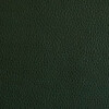 Aniline leather a05 green