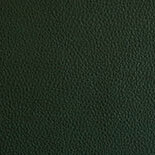 Aniline leather a05 green