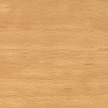 Wood A beech transparent lacquered