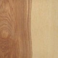 Wood E4 core ash transparent lacquered