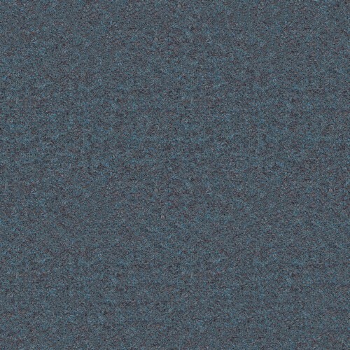 Pure new wool Synergy LDS58 Family