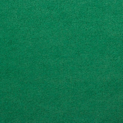 Dinamica 9565 Grass (additional collection)