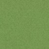 Divina 0956 Apple Green (additional collection)